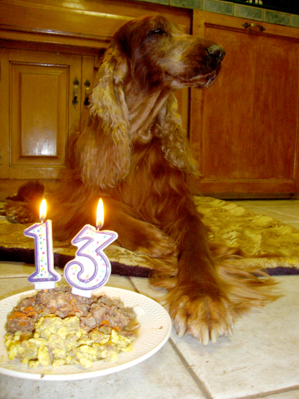 Liam's 13th Birthday