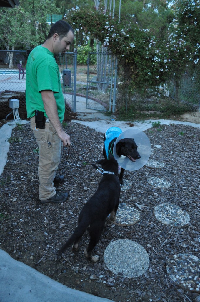 Roxi and Rancho reunite