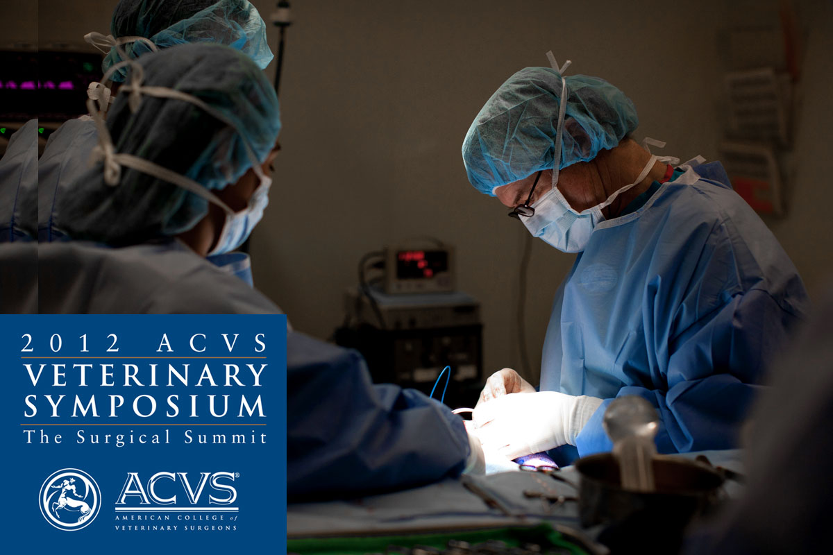 Dr. Kirk Wendelburg, performing total hip replacement surgery