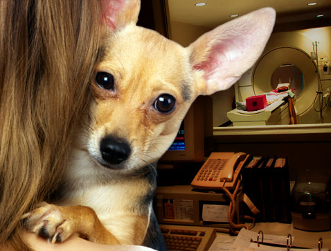 Does your pet really need that MRI?