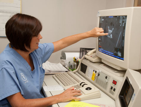 neurologist’s neurologist Dr. stacey Sullivan
