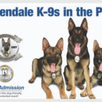 Glendale k9s in the park 2016