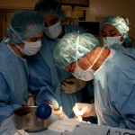 Minimally Invasive Surgery: Veterinary Surgeons