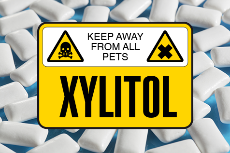Xylitol