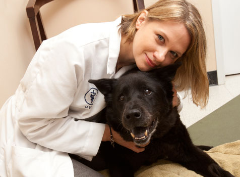 Dr. Joanne Bak