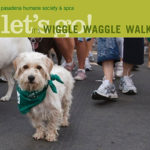 2016 Wiggle Waggle Walk